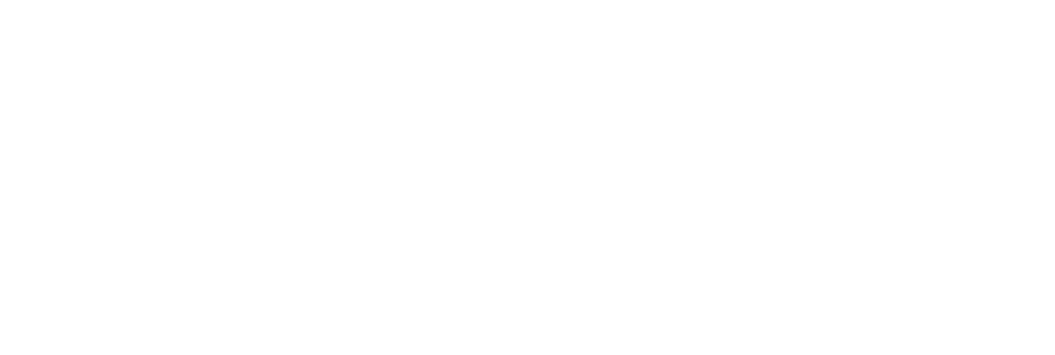 PromoLink_R_2024_RGB_invert